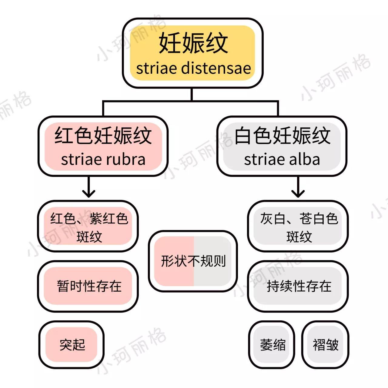 看完这篇妊娠纹科普，80%的女人脱掉衣服开始照镜子