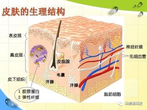 各类临床常见色斑的治疗方案