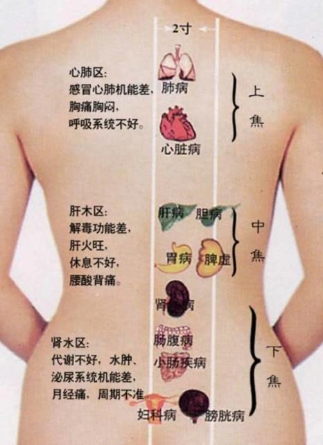 【销售话术】美容院背部、经络顶级成交话术，学会了就能成大单！