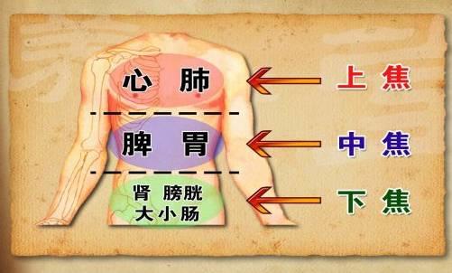 【销售话术】美容院背部、经络顶级成交话术，学会了就能成大单！