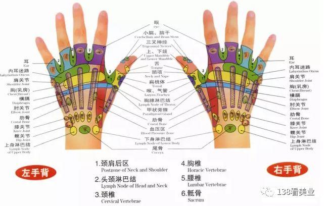 有求必应 | 人体手部反射区专业知识