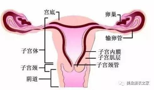 话术：为什么要做会阴养生?