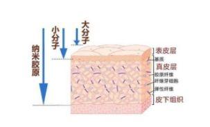 皮肤管理 | 超声刀美容术后红肿怎么办？