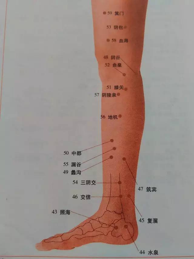 全身穴位图解一定要收藏