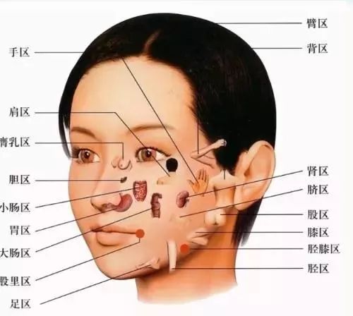 中医面诊的秘密从脸部看五脏疾病